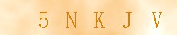 Kontrolní kód