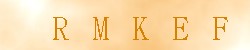 Kontrolní kód