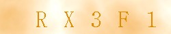 Kontrolní kód