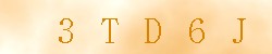 Kontrolní kód