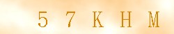 Kontrolní kód