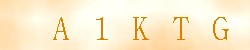 Kontrolní kód