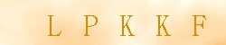 Kontrolní kód