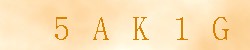 Kontrolní kód