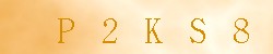 Kontrolní kód