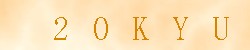 Kontrolní kód