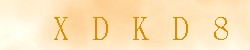 Kontrolní kód